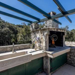 Prekrasno, samoodrživo imanje s kućom za najam i velikim maslinikom.