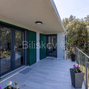 Prekrasno, samoodrživo imanje s kućom za najam i velikim maslinikom.