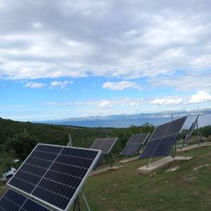 Prekrasno, samoodrživo imanje s kućom za najam i velikim maslinikom.