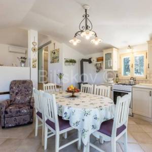 Prekrasno, samoodrživo imanje s kućom za najam i velikim maslinikom.