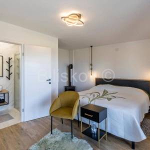 Prekrasno, samoodrživo imanje s kućom za najam i velikim maslinikom.