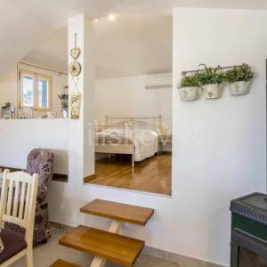 Prekrasno, samoodrživo imanje s kućom za najam i velikim maslinikom.