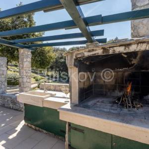 Prekrasno, samoodrživo imanje s kućom za najam i velikim maslinikom.