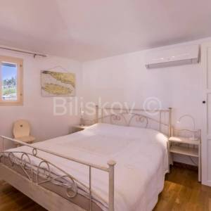 Prekrasno, samoodrživo imanje s kućom za najam i velikim maslinikom.