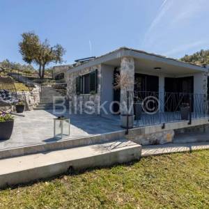 Prekrasno, samoodrživo imanje s kućom za najam i velikim maslinikom.