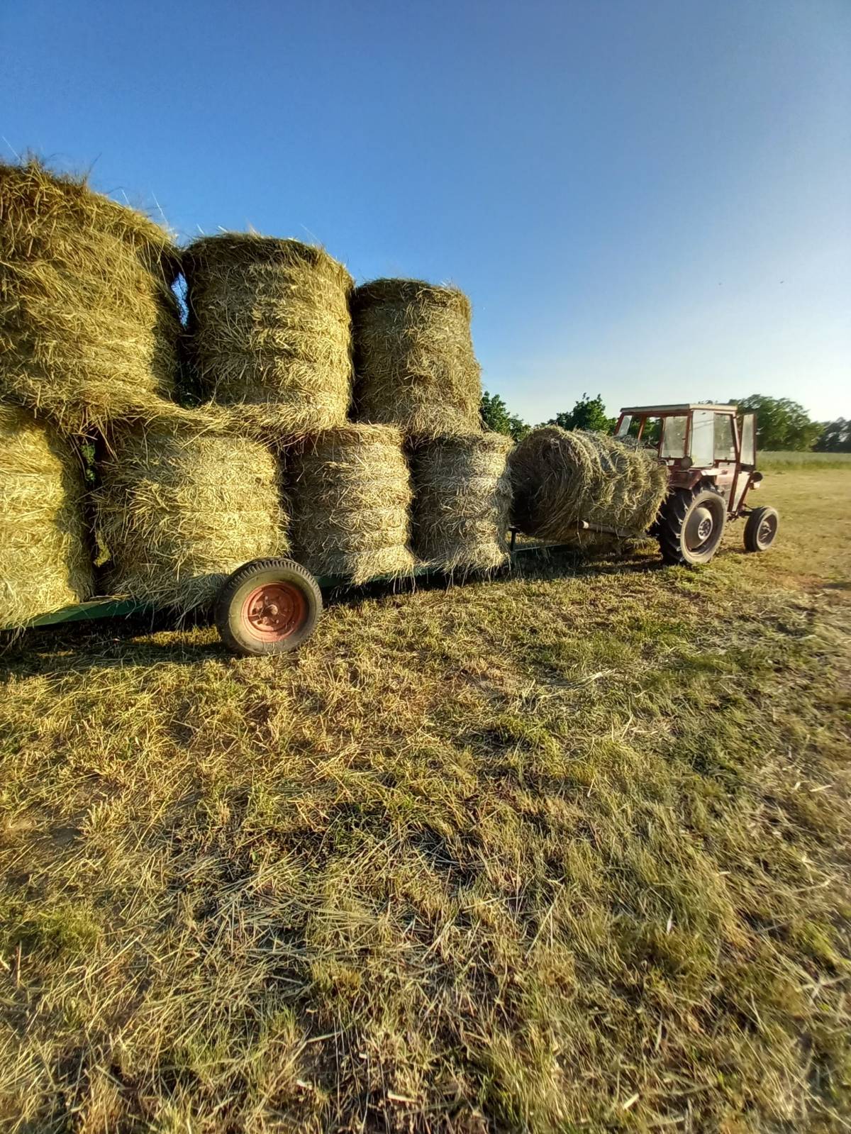 PRIKOLICA ZA ROLOBALE