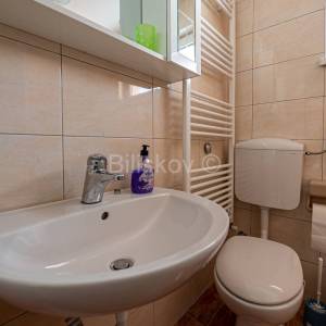 Prodaja, 2 samostojeće kuće, pomoćna zgrada, parking