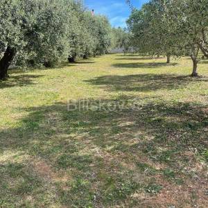 Prodaja, Biograd, građevinsko zemljište, top lokacija, blizina mora