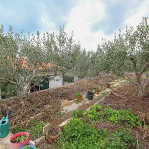 Prodaja, Brač, Sumartin, vila sa pogledom na more