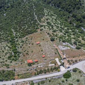 Prodaja, Čiovo, Žedno, poljoprivredno zemljište