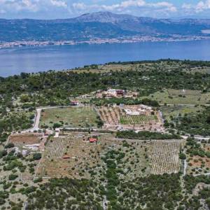 Prodaja, Čiovo, Žedno, poljoprivredno zemljište