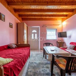 Prodaja, Dugo selo, Kozinščak, šarmantna samostojeća kuća, okućnica