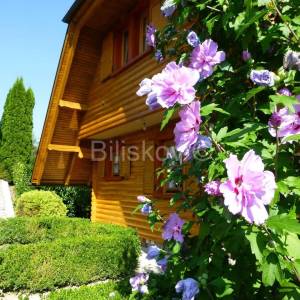 Prodaja, Gornja Voća, samostojeća kuća, bazen, vrt