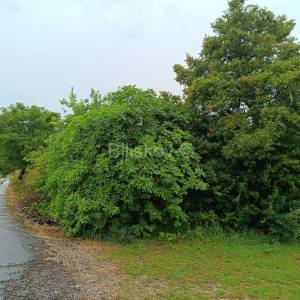 Prodaja, Građevinsko zemljište 3000m2, Potravlje