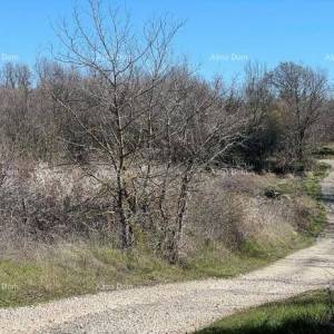 Prodaja - građevinsko zemljište s dozvolom, gradnja može početi odmah! Kanfanar!
