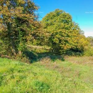 Prodaja-građevinsko zemljište za izgradnju obiteljske kuće, Karojba!