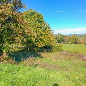 Prodaja-građevinsko zemljište za izgradnju obiteljske kuće, Karojba!