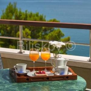 Prodaja, Hotel, 1. red do mora, Gradac