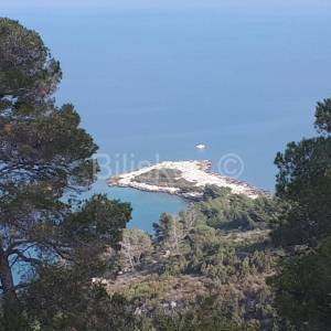 Prodaja, Hvar, blizina Jelse, poljoprivredno zemljište, blizina mora