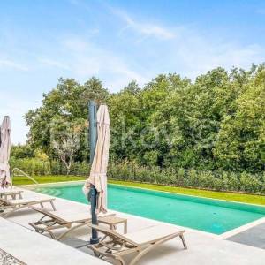 Prodaja, Istra, Kaštelir, luksuzna vila, bazen