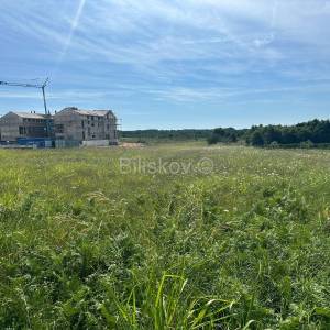 Prodaja, Istra, Želiski, zemljište, projekt za jednu ili šest vila 