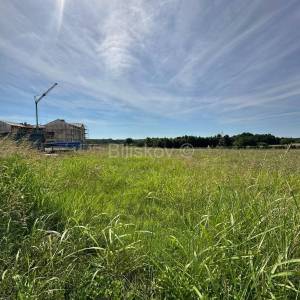 Prodaja, Istra, Želiski, zemljište, projekt za jednu ili šest vila 