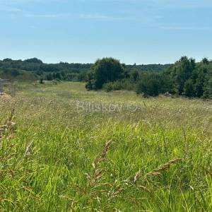 Prodaja, Istra, Želiski, zemljište, projekt za jednu ili šest vila 