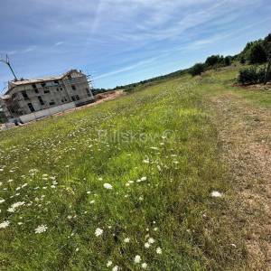 Prodaja, Istra, Želiski, zemljište, projekt za jednu ili šest vila 
