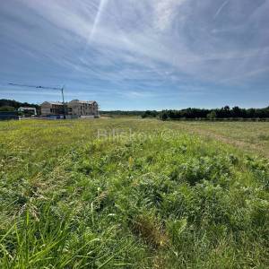 Prodaja, Istra, Želiski, zemljište, projekt za jednu ili šest vila 