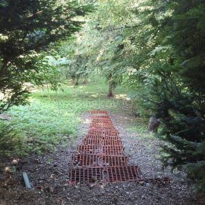 Prodaja, Jastrebarsko, Vlaškovec, ranč-imanje s 3 građevna objekta 