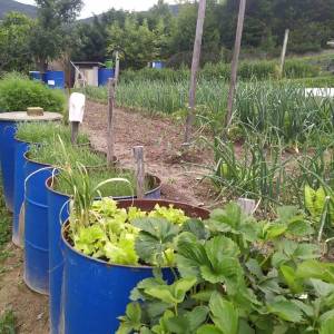 Prodaja, Jastrebarsko, Vlaškovec, ranč-imanje s 3 građevna objekta 