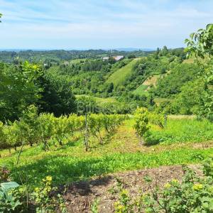Prodaja, Jastrebarsko, Vlaškovec, ranč-imanje s 3 građevna objekta 