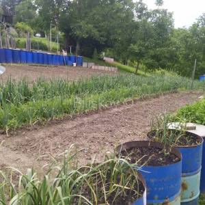 Prodaja, Jastrebarsko, Vlaškovec, ranč-imanje s 3 građevna objekta 