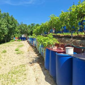 Prodaja, Jastrebarsko, Vlaškovec, ranč-imanje s 3 građevna objekta 