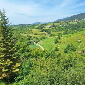 Prodaja, Jastrebarsko, Vlaškovec, ranč-imanje s 3 građevna objekta 