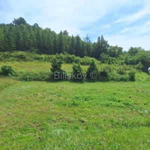 Prodaja, Jastrebarsko, Vlaškovec, ranč-imanje s 3 građevna objekta 