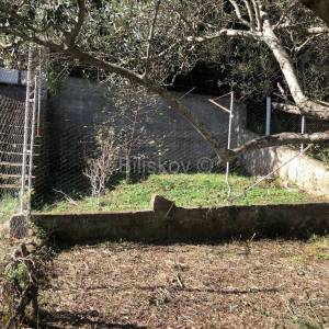 Prodaja, Kali, o. Ugljan, građevinsko zemljište 426 m², blizina mora