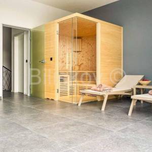 Prodaja, Kaštelir, luksuzna vila, bazen 