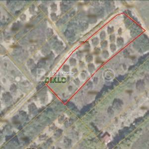 Prodaja, Kožino, poljoprivredno zemljište, maslinik