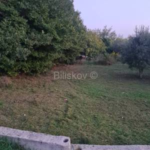 Prodaja, Kožino, poljoprivredno zemljište, maslinik