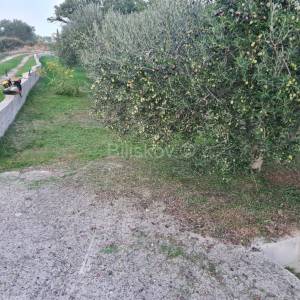 Prodaja, Kožino, poljoprivredno zemljište, maslinik