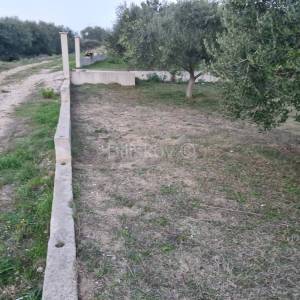 Prodaja, Kožino, poljoprivredno zemljište, maslinik