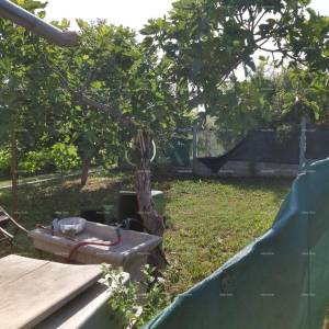 Prodaja- kuća sa konobom, velikom terasom, dva trosobna stana, dvorištem. Odlična prilika za investiranje!