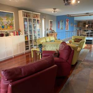 Prodaja, Nova Gradiška, Cernik, luksuzna vila