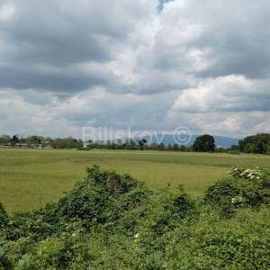 Prodaja, Novi Zagreb, Dugave, građevinsko-poslovno zemljište