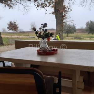 Prodaja, Novigrad Istarski, stan u kući, blizina mora