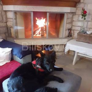 Prodaja, Novigrad Istarski, stan u kući, blizina mora