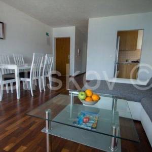 Prodaja, Okrug Gornji, stan s pogledom na more