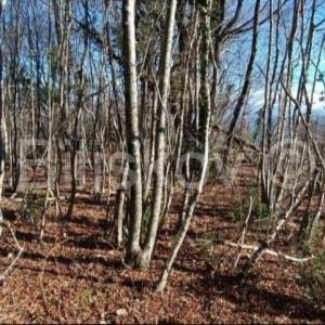 Prodaja, Opatija, građevinsko zemljište, pogled na more