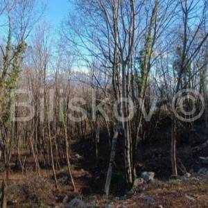 Prodaja, Opatija, građevinsko zemljište, pogled na more